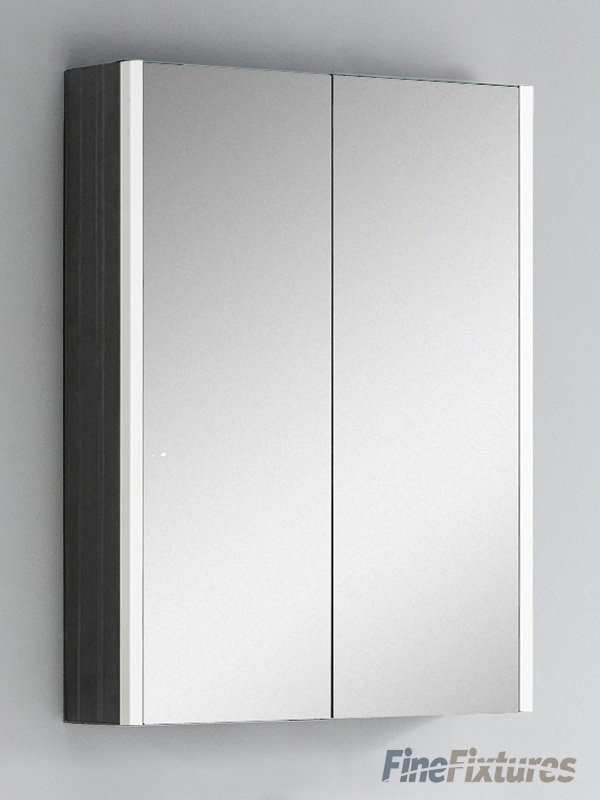 AllModern Ryker Surface Mount Framed 2 Door Medicine & Reviews Wayfair